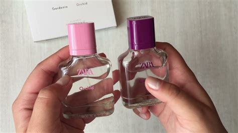 gardenia perfume zara dupe|zara perfume orchid dupe.